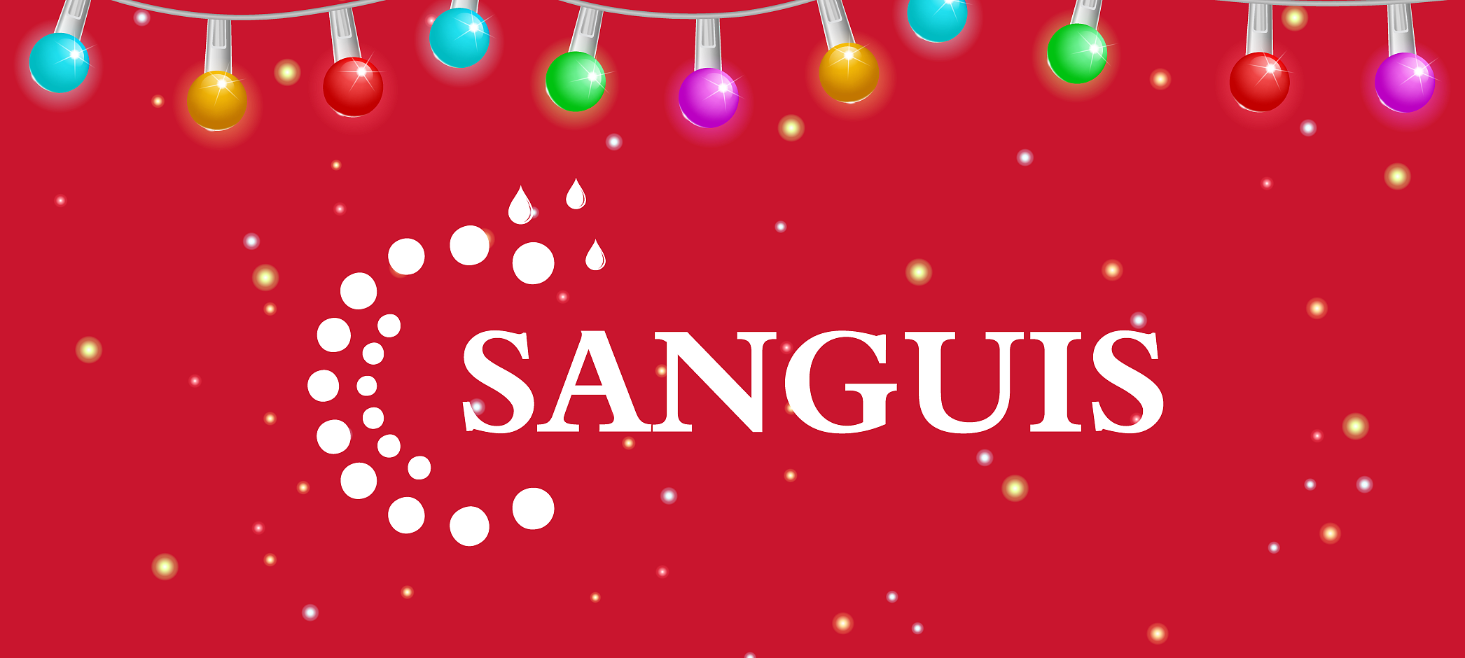 С Новым годом! График работы пунктов приёма в праздничные дни